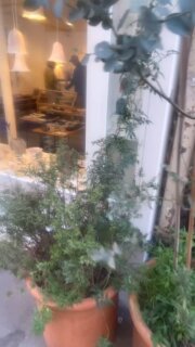 Venez découvrir nos nouveaux créateurs invités du printemps ! Au 9 rue de l’échaudé 75006 Paris 

Come and discover our new guest designers of spring! At 9 rue de l’échaudé 75006 Paris.
#rdvdesigners #madeinfrance #saintgermaindespres #bestofparis #madeinparis